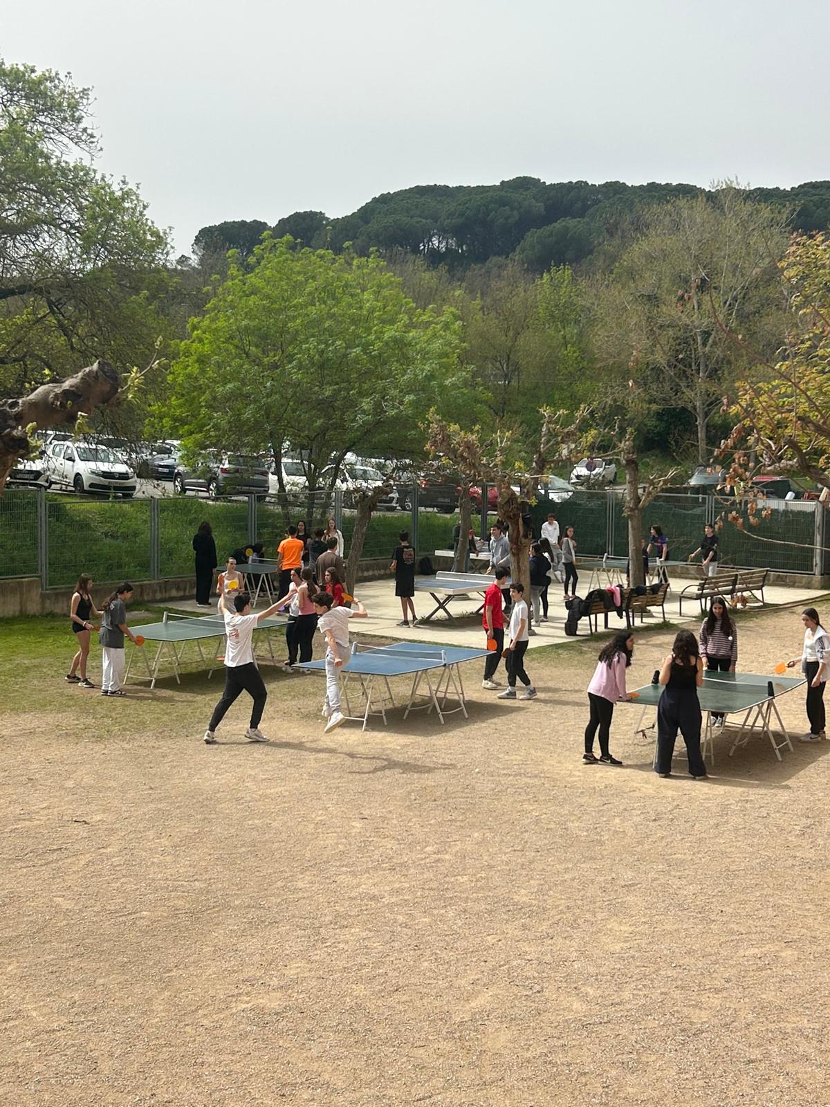 Dia Mundial de l’Activitat Física (DMAF)