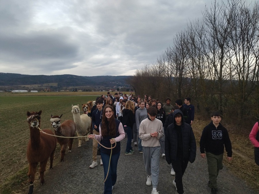 ERASMUS+ a Àustria
