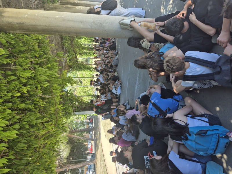 Concurs de pintura ràpida 2n d'ESO